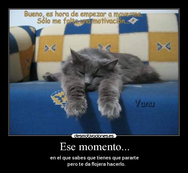 Ese momento... - en el que sabes que tienes que pararte
pero te da flojera hacerlo.