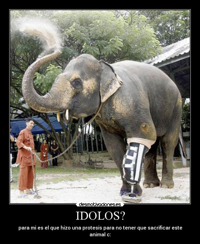 IDOLOS? - para mi es el que hizo una protesis para no tener que sacrificar este animal c:
