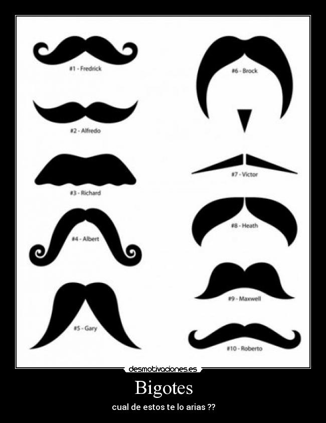 Bigotes - cual de estos te lo arias ??