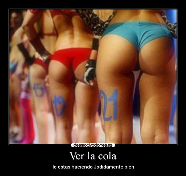 Ver la cola - lo estas haciendo Jodidamente bien