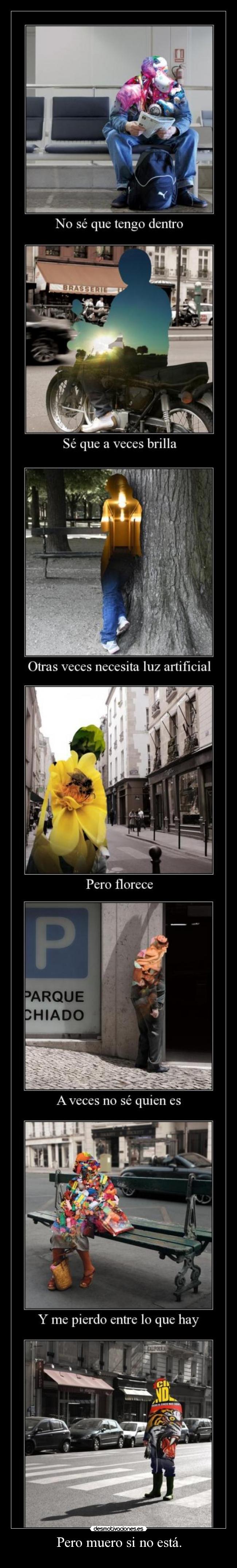 Pero muero si no está. -