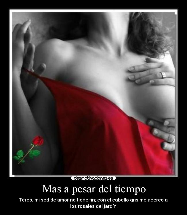 Mas a pesar del tiempo - Terco, mi sed de amor no tiene fin; con el cabello gris me acerco a
los rosales del jardín.