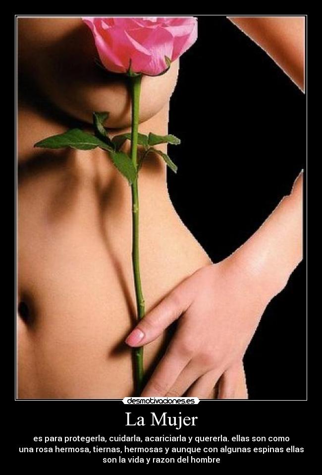 La Mujer - es para protegerla, cuidarla, acariciarla y quererla. ellas son como
una rosa hermosa, tiernas, hermosas y aunque con algunas espinas ellas
son la vida y razon del hombre