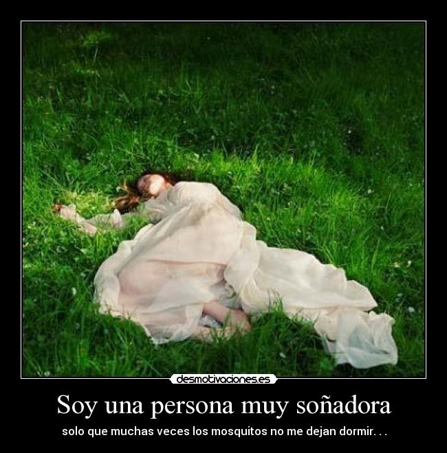 Soy una persona muy soñadora - solo que muchas veces los mosquitos no me dejan dormir. . .