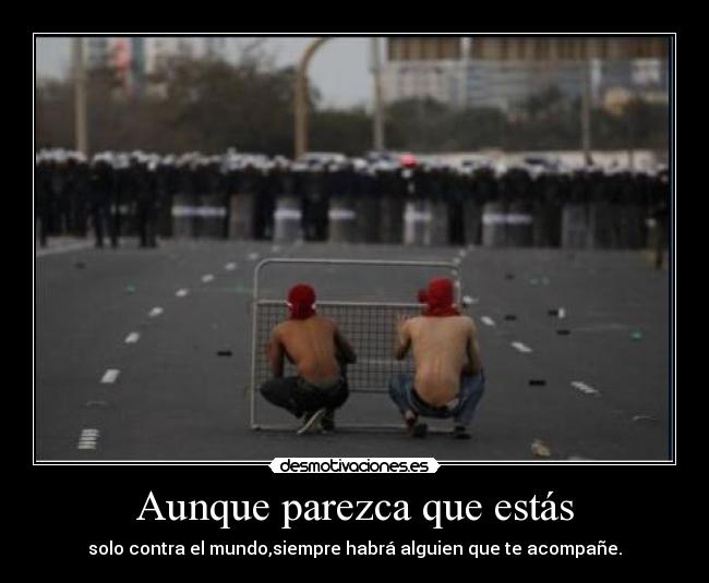 Aunque parezca que estás - solo contra el mundo,siempre habrá alguien que te acompañe.