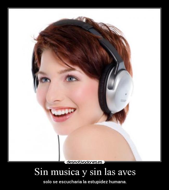 carteles musica musica desmotivaciones