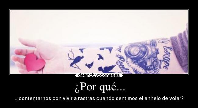carteles elige entre arrastrarte volar desmotivaciones