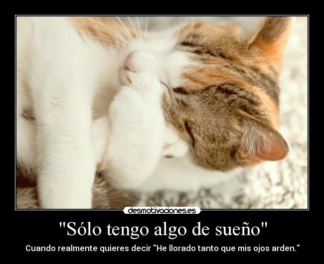 Sólo tengo algo de sueño - Cuando realmente quieres decir He llorado tanto que mis ojos arden.
