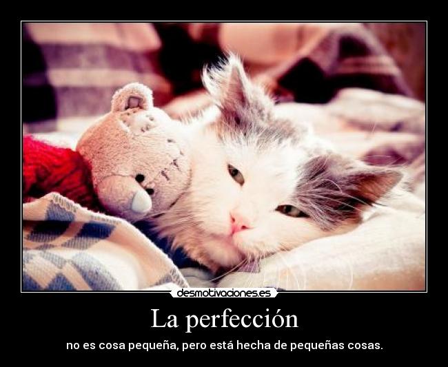 La perfección -