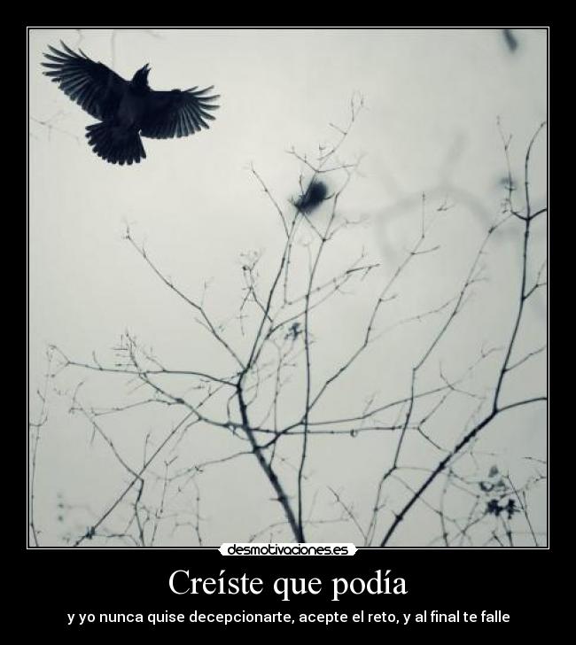 Creíste que podía - y yo nunca quise decepcionarte, acepte el reto, y al final te falle
