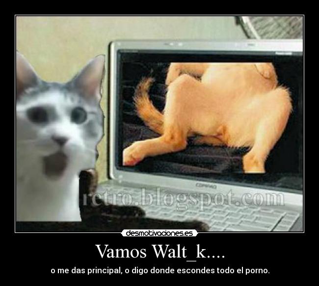 Vamos Walt_k.... - o me das principal, o digo donde escondes todo el porno.