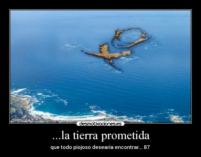 carteles piojo desmotivaciones