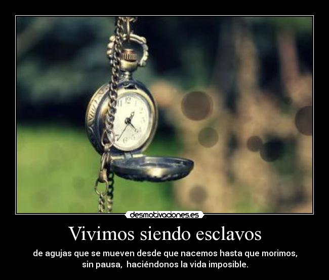 carteles desmoconcurso2 mierda los putos relojes desmotivaciones