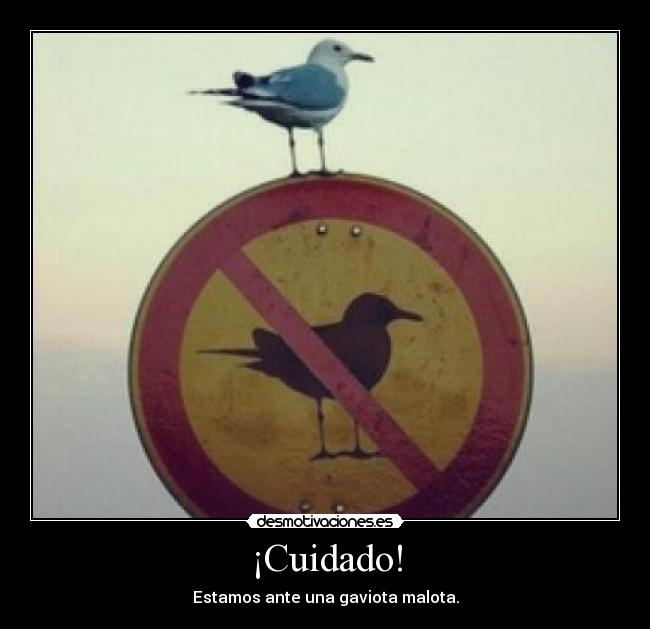 carteles mariatururu desmotivaciones