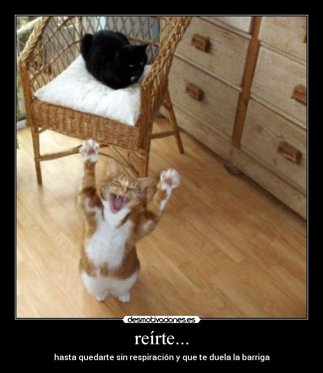 reírte... - hasta quedarte sin respiración y que te duela la barriga