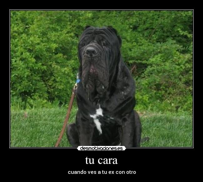 tu cara - cuando ves a tu ex con otro