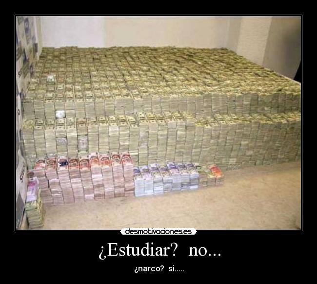 carteles narcoo desmotivaciones