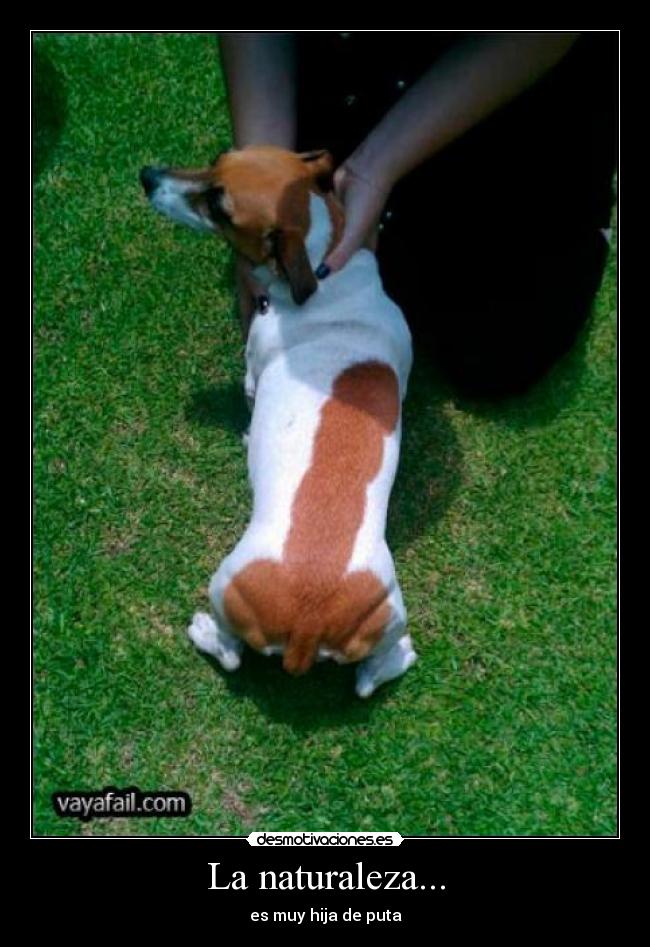 La naturaleza... - es muy hija de puta