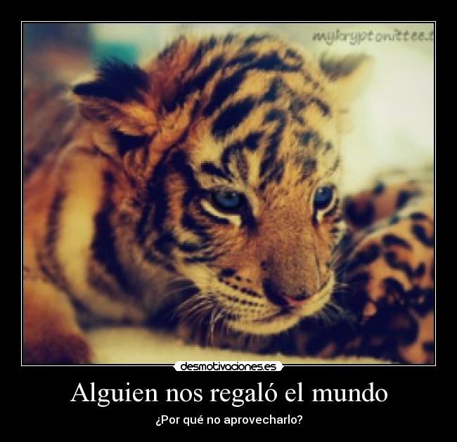 Alguien nos regaló el mundo - ¿Por qué no aprovecharlo?