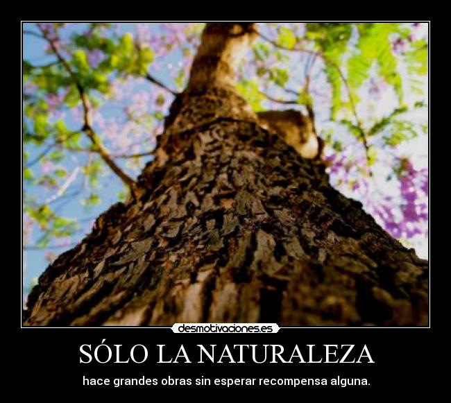 SÓLO LA NATURALEZA -