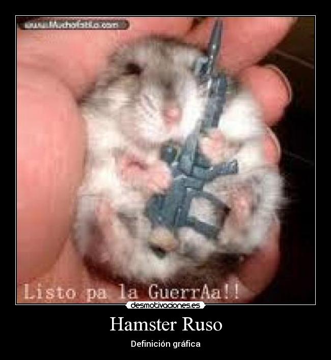 Hamster Ruso - 