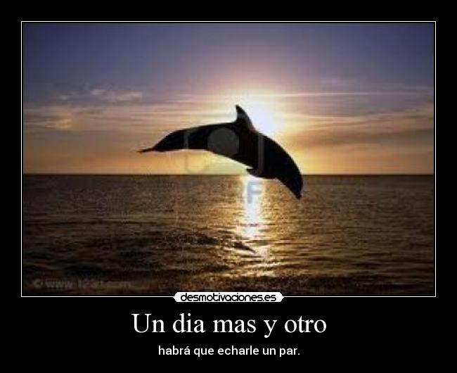 Un dia mas y otro - habrá que echarle un par.