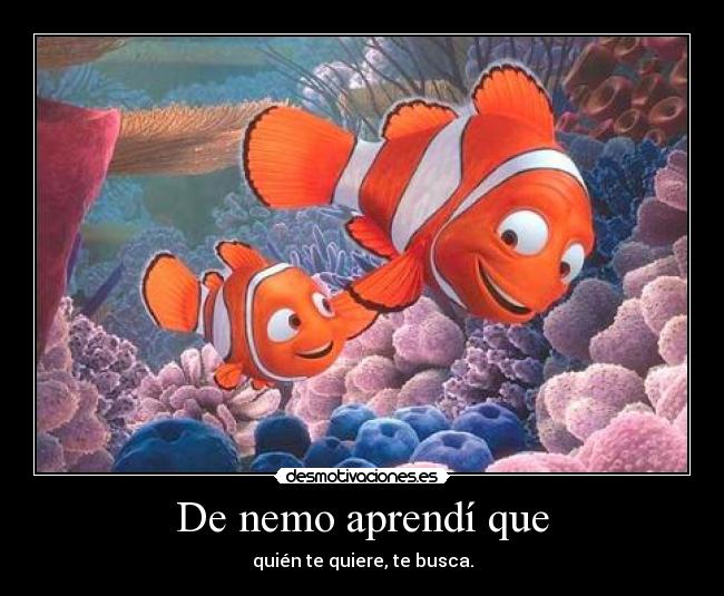 De nemo aprendí que - quién te quiere, te busca.