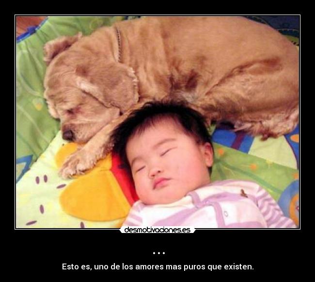 ... - Esto es, uno de los amores mas puros que existen.