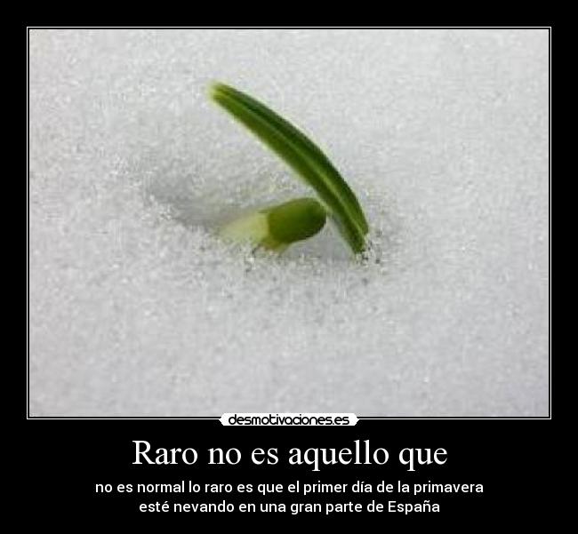 Raro no es aquello que -