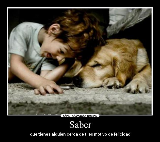 Saber - que tienes alguien cerca de ti es motivo de felicidad