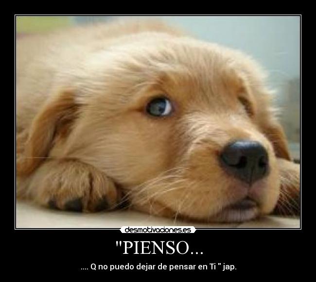 PIENSO... -