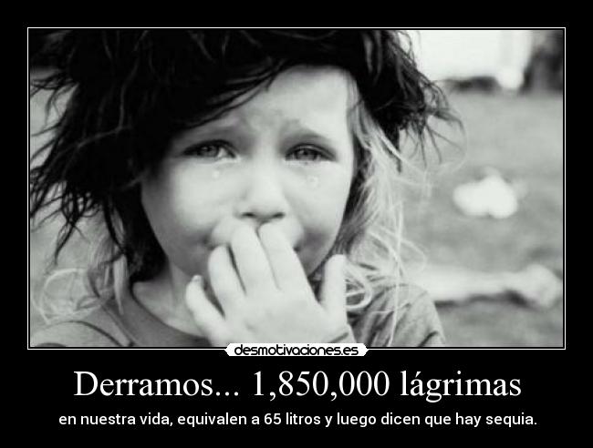 Derramos... 1,850,000 lágrimas - en nuestra vida, equivalen a 65 litros y luego dicen que hay sequia.