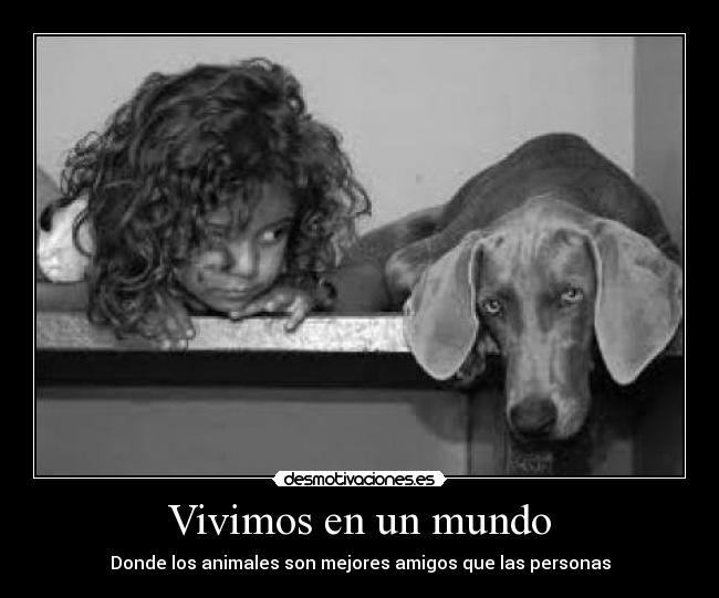 Vivimos en un mundo -