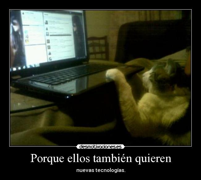 Porque ellos también quieren -