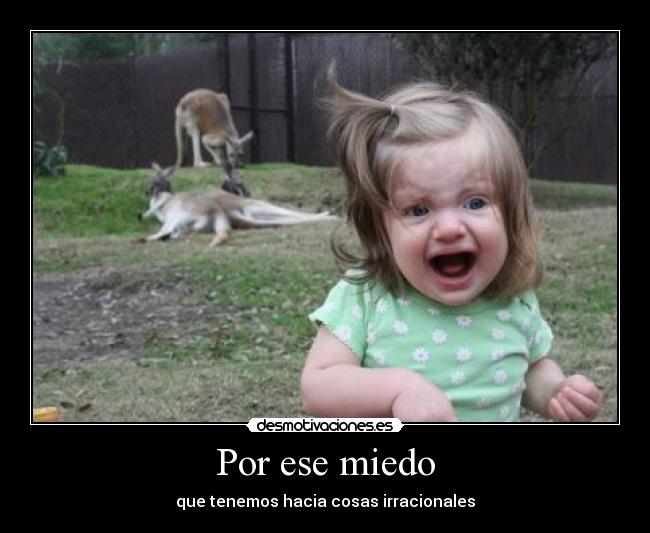 carteles miedo sigueme twitter cuenta lgns desmotivaciones