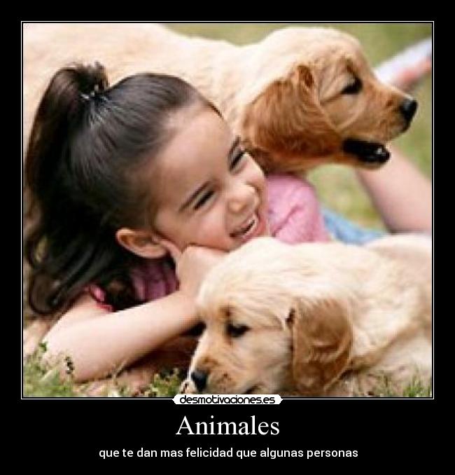 Animales - que te dan mas felicidad que algunas personas