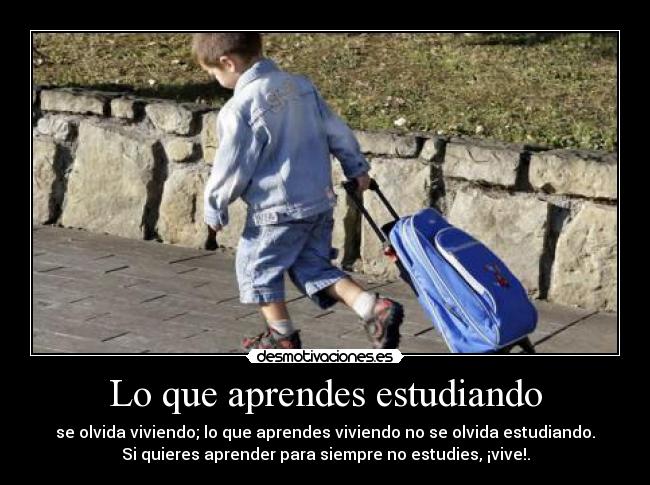 Lo que aprendes estudiando - se olvida viviendo; lo que aprendes viviendo no se olvida estudiando.
Si quieres aprender para siempre no estudies, ¡vive!.
