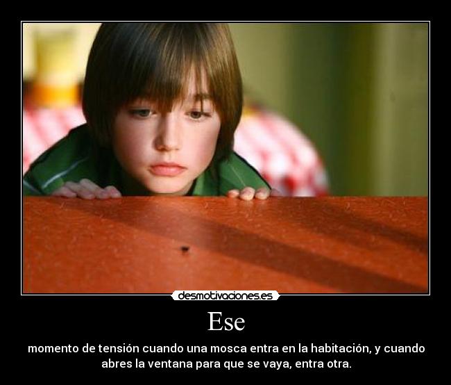 Ese - momento de tensión cuando una mosca entra en la habitación, y cuando
abres la ventana para que se vaya, entra otra.