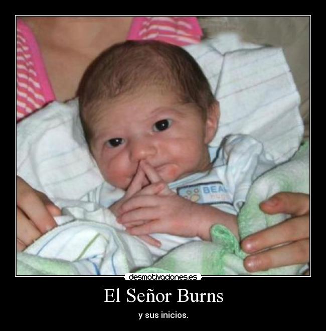 El Señor Burns - 