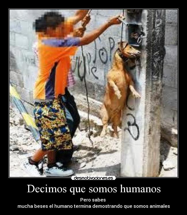 Decimos que somos humanos - Pero sabes 
mucha beses el humano termina demostrando que somos animales