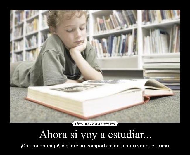 Ahora si voy a estudiar... - ¡Oh una hormiga!, vigilaré su comportamiento para ver que trama.