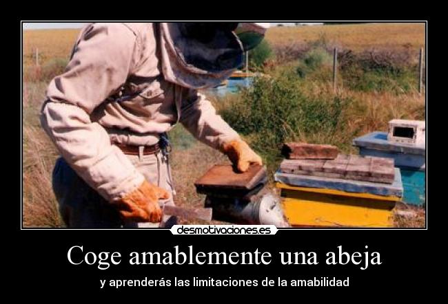 Coge amablemente una abeja -