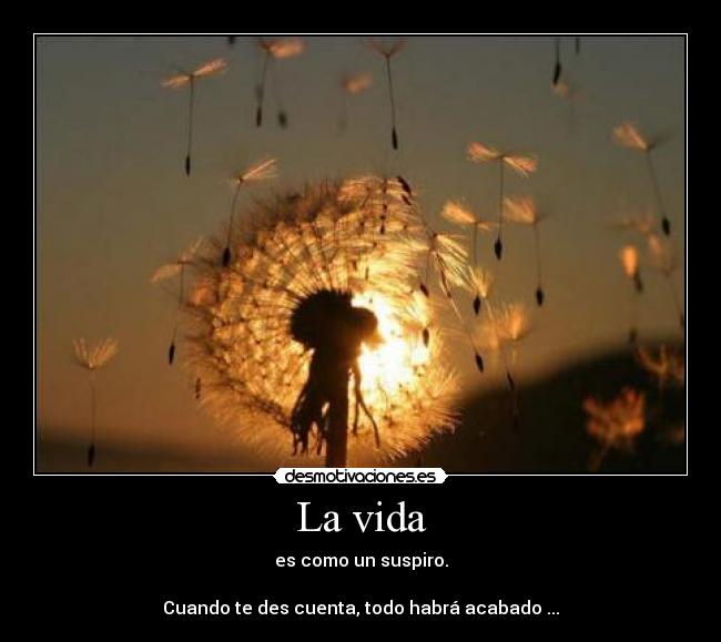 La vida - 