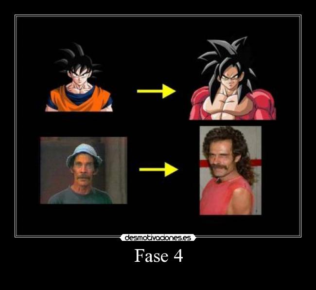 Fase 4 -