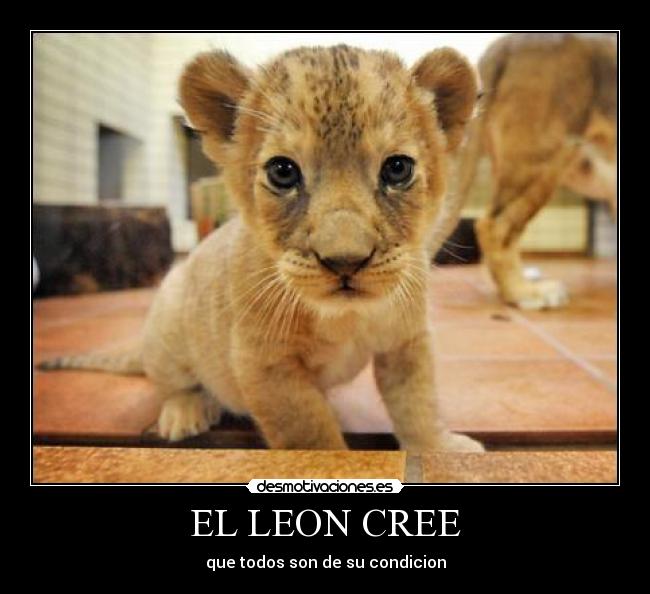 EL LEON CREE - que todos son de su condicion