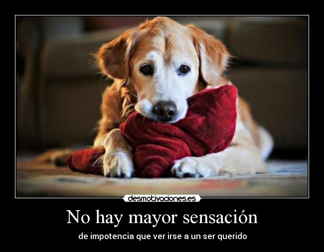 No hay mayor sensación - de impotencia que ver irse a un ser querido