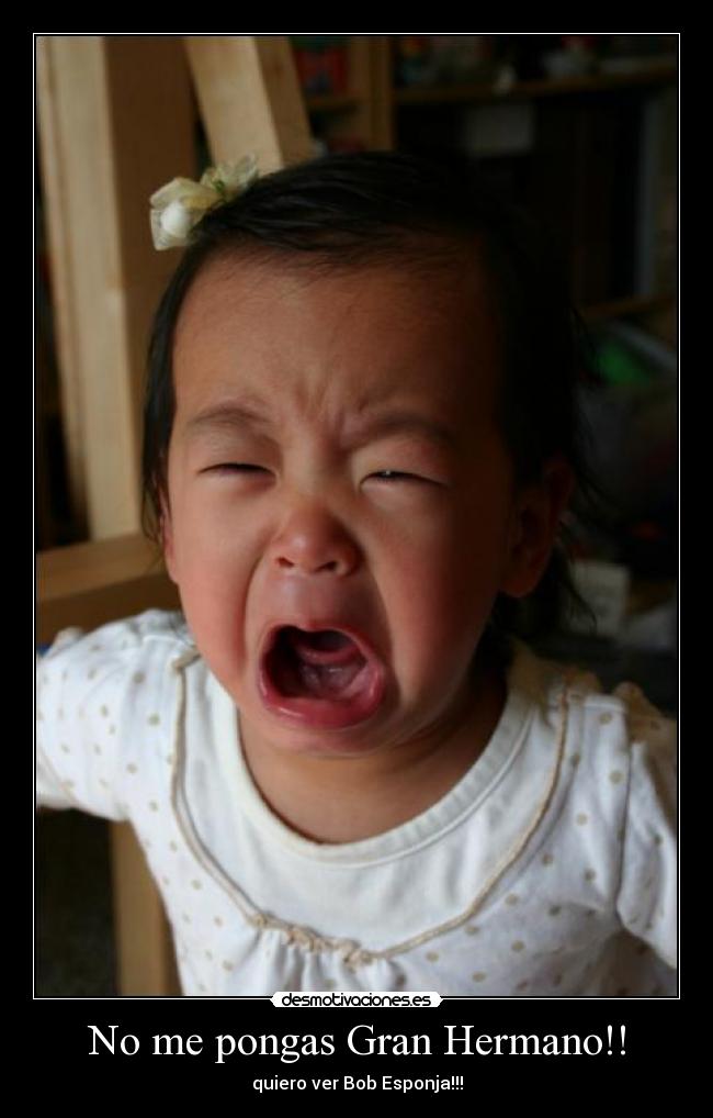 carteles pongas gran hermano bob esponja riderman desmotivaciones