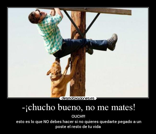 -¡chucho bueno, no me mates! - 