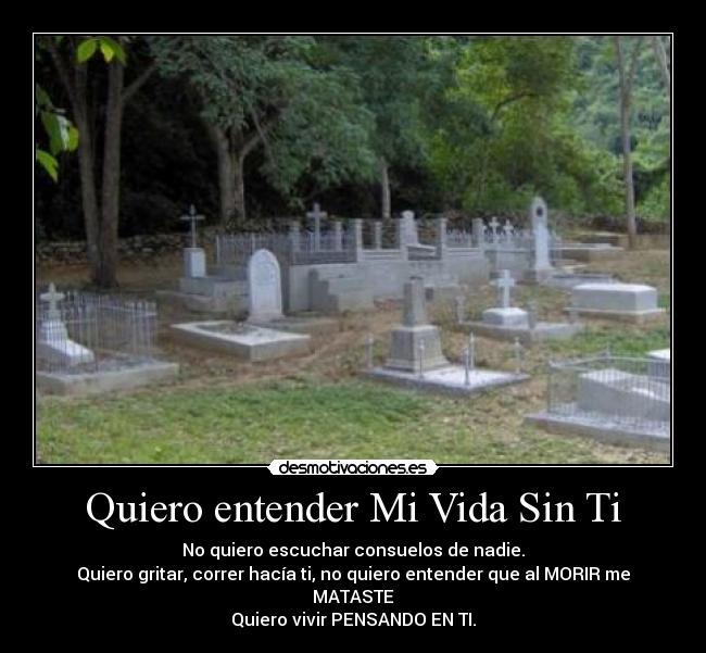 Quiero entender Mi Vida Sin Ti - No quiero escuchar consuelos de nadie.
Quiero gritar, correr hacía ti, no quiero entender que al MORIR me MATASTE
Quiero vivir PENSANDO EN TI.