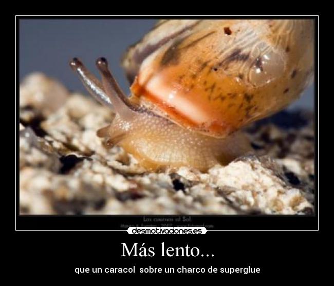 Más lento... - que un caracol  sobre un charco de superglue